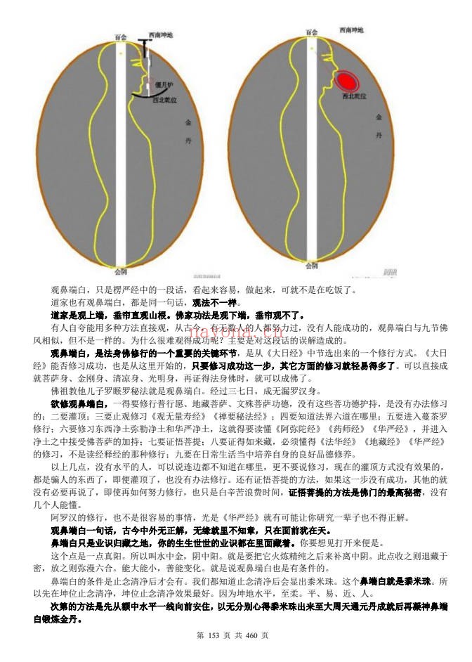 一尘丹道燃灯法脉460页PDF 丹道功法