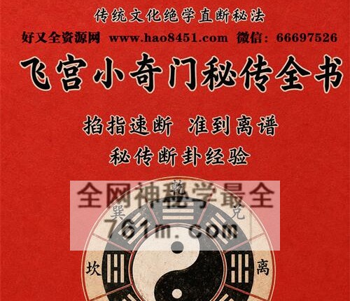 H859飞宫小奇门秘传全书 PDF电子书217 页