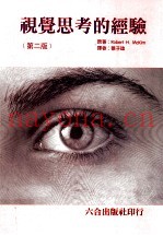 视觉思考的经验  第2版