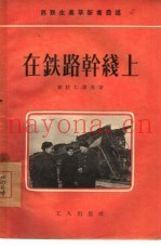 在铁路干线上