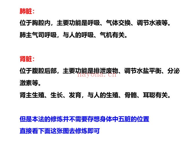 尘阳五脏混炼视频+课件 道家功法