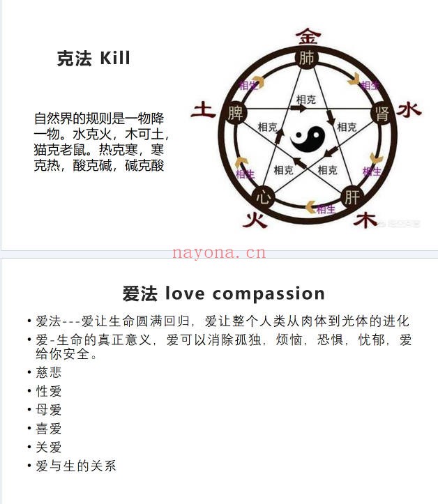 许明堂扁鹊意象医学见象改象研讨会二期50集视频+课件