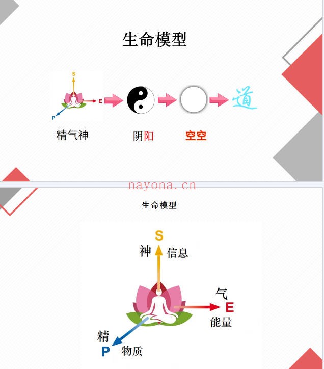 许明堂扁鹊意象医学见象改象研讨会二期50集视频+课件