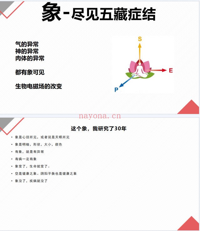 许明堂扁鹊意象医学见象改象研讨会二期50集视频+课件