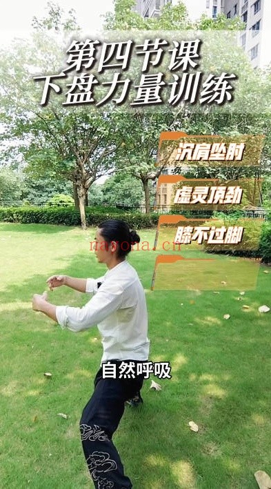 凌绝先生功夫推拿全套手法12讲视频 推拿教程