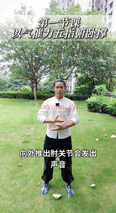 凌绝先生功夫推拿全套手法12讲视频 推拿教程
