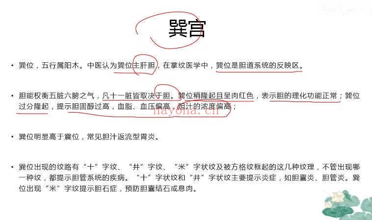 知相知命零基础学手相手相进阶239个视频 手相教程