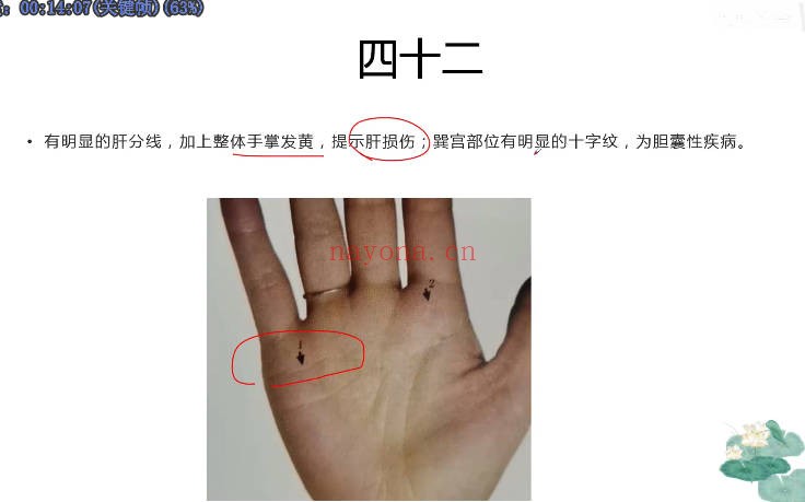 知相知命零基础学手相手相进阶239个视频 手相教程