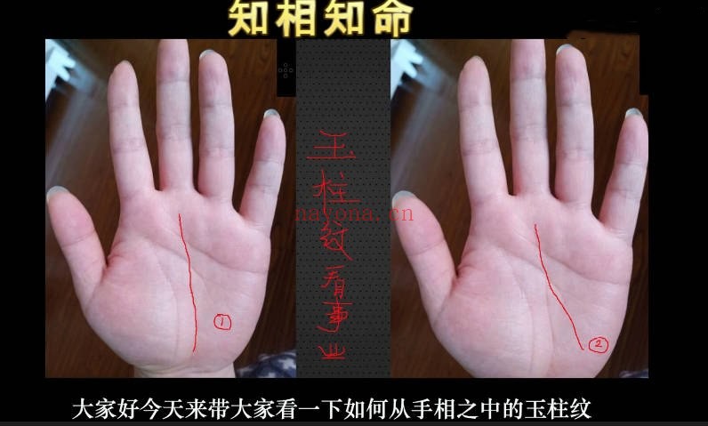 知相知命零基础学手相手相进阶239个视频 手相教程