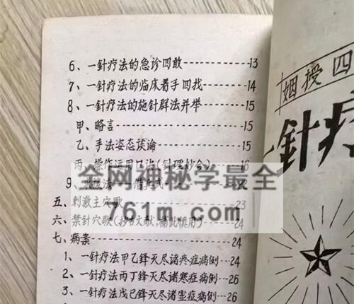 K2342一针疗法草案PDF电子书31页