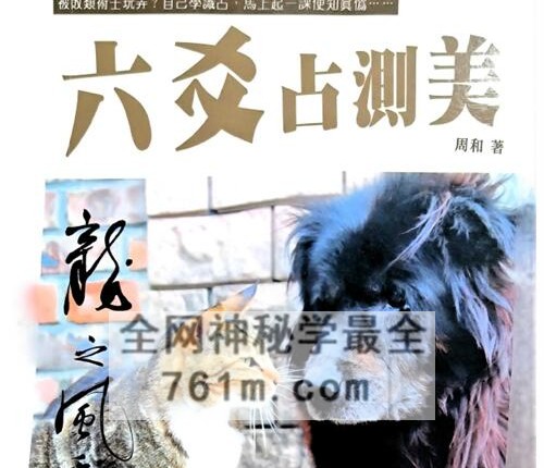M291《六爻占测美》周和着-PDF电子书206页
