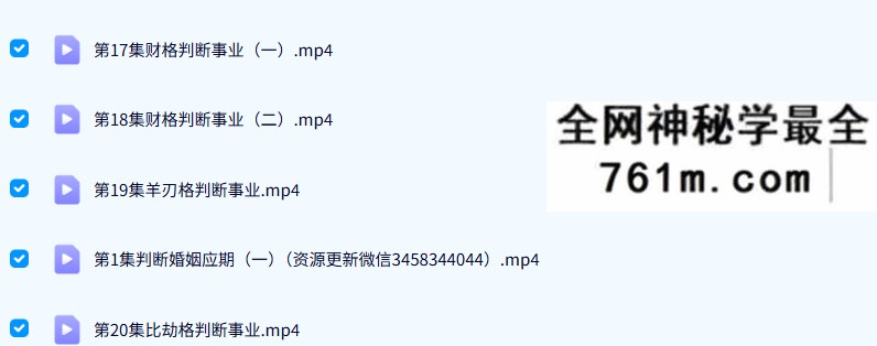 老人参金镖门实战30集