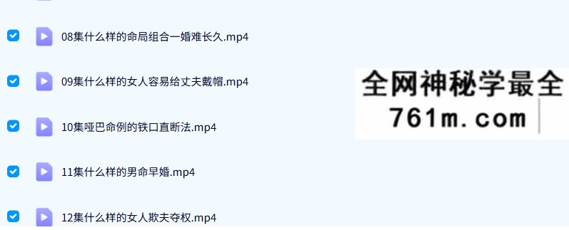 刘原盲派八字36集视频