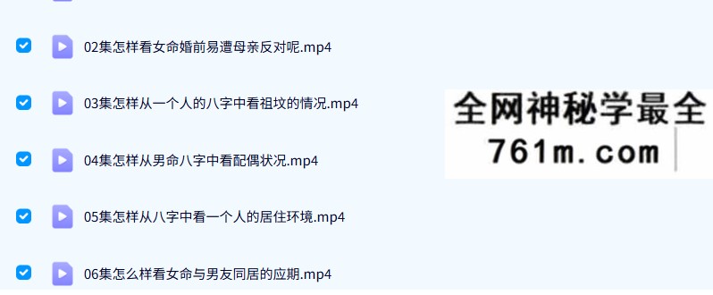 刘原盲派八字36集视频