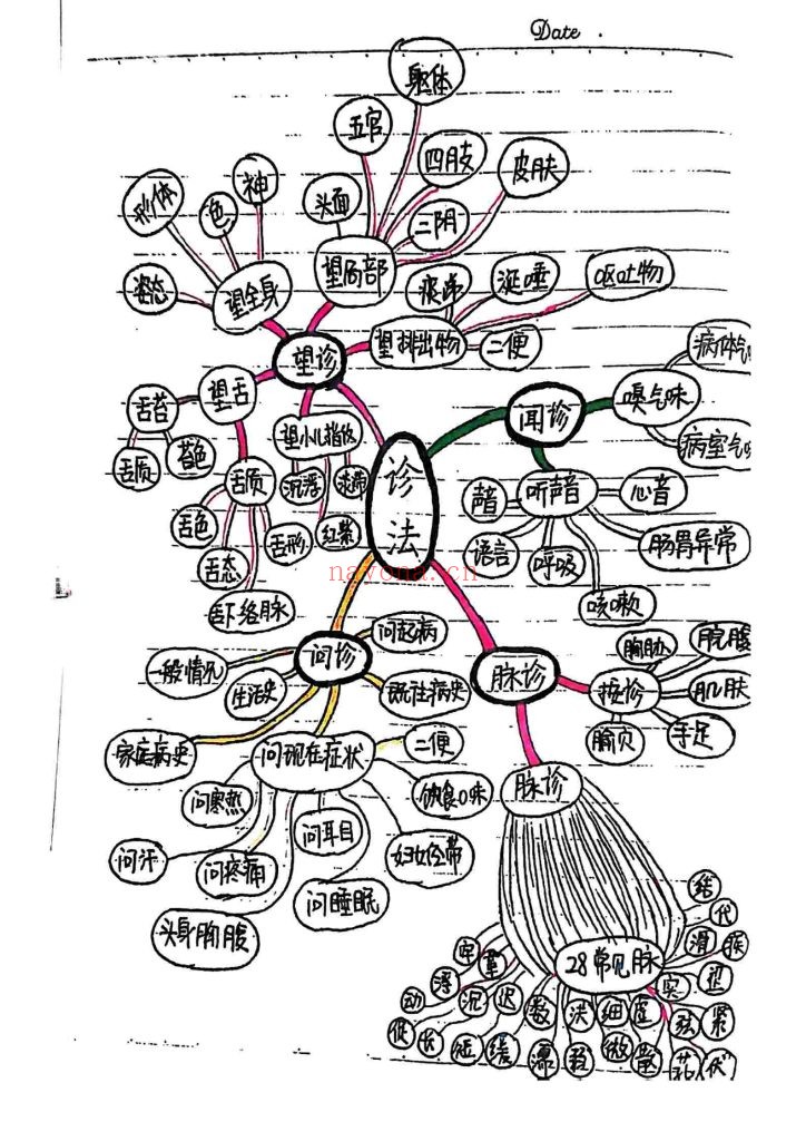 《中医诊断学》手绘版9