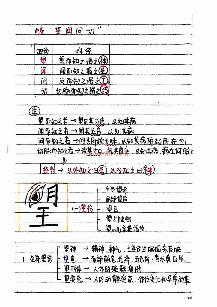 《中医诊断学》手绘版9