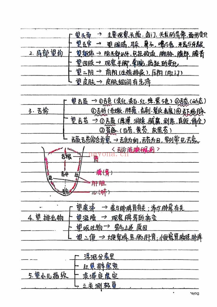 《中医诊断学》手绘版9