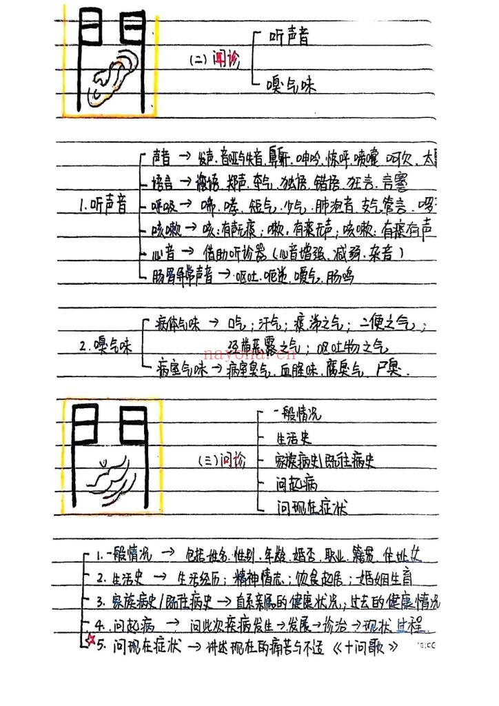 《中医诊断学》手绘版9