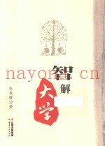 智解大学