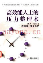 高效能人士的压力整理术  秒杀一切压力，在情绪上强大自己