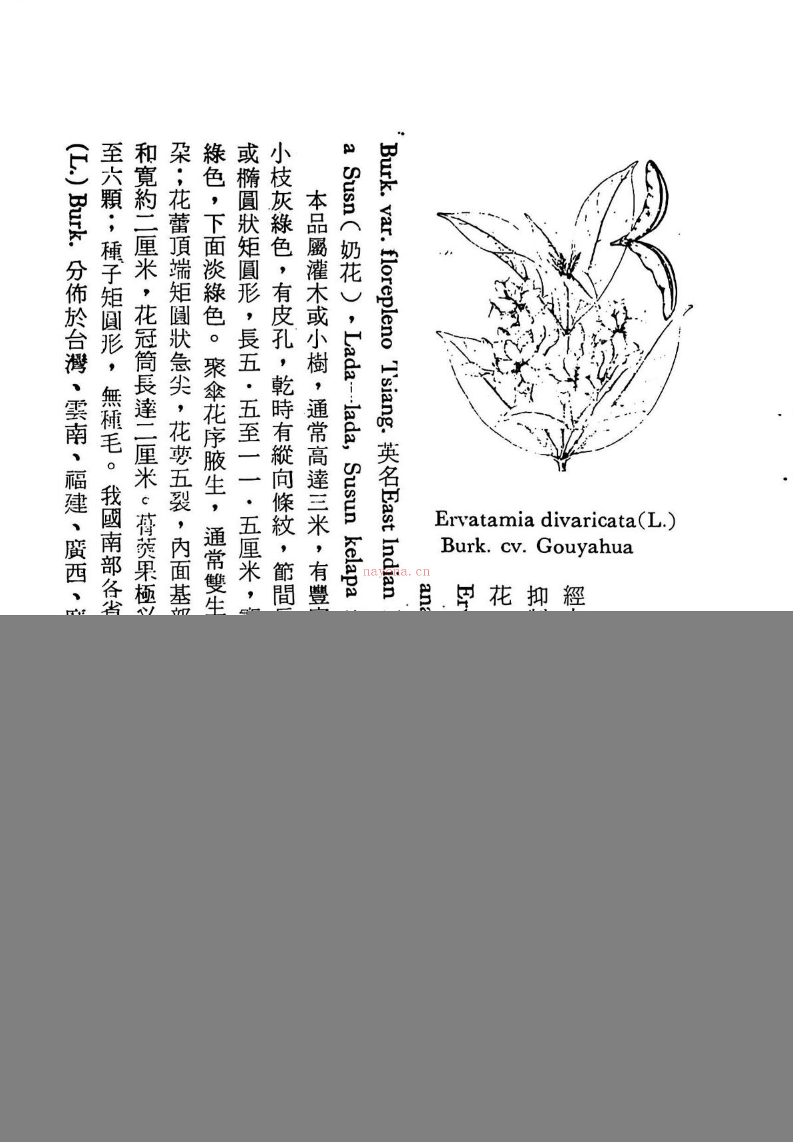治癌中草药