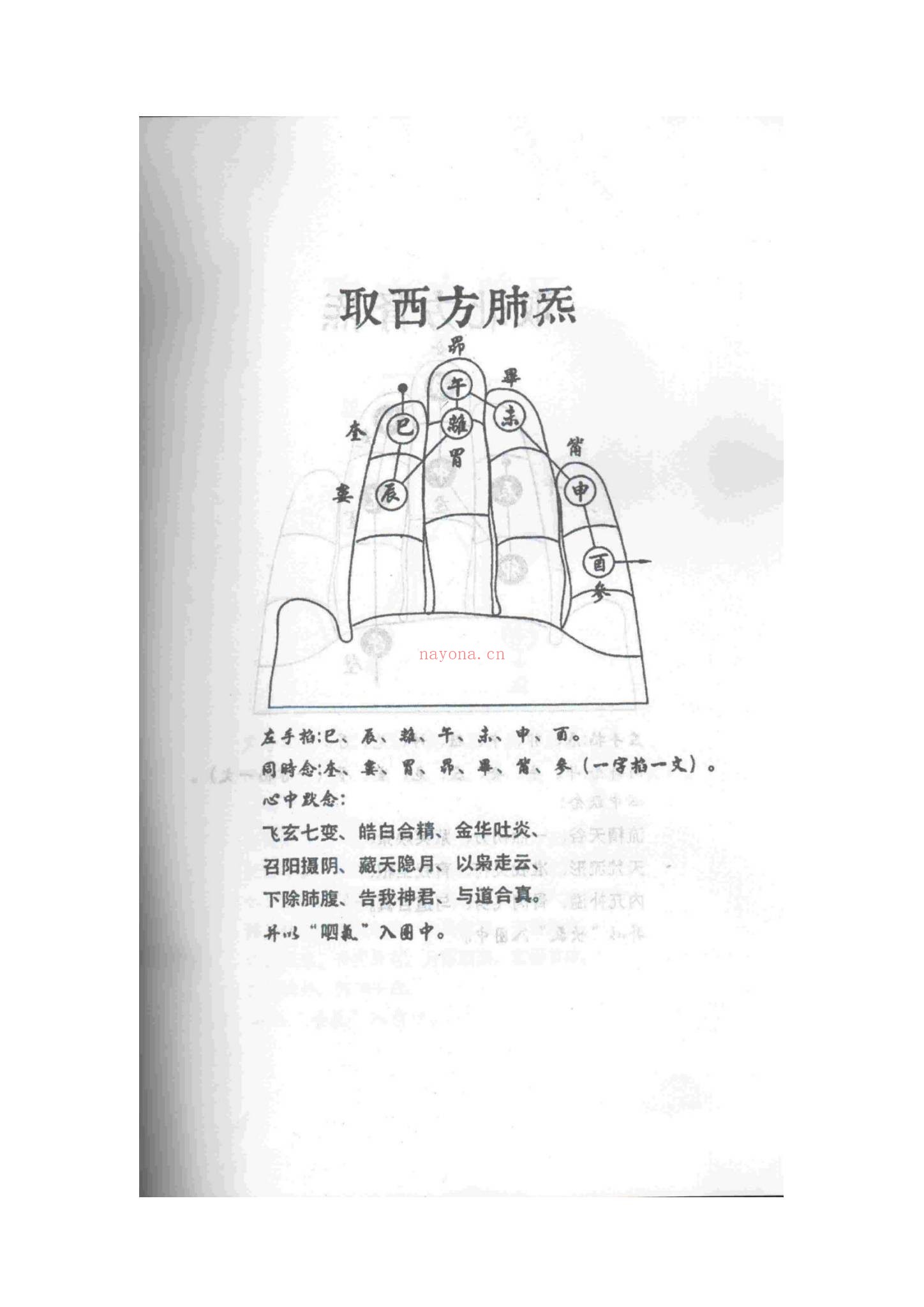 《天罡三十六》PDF电子书（2册PDF电子书）