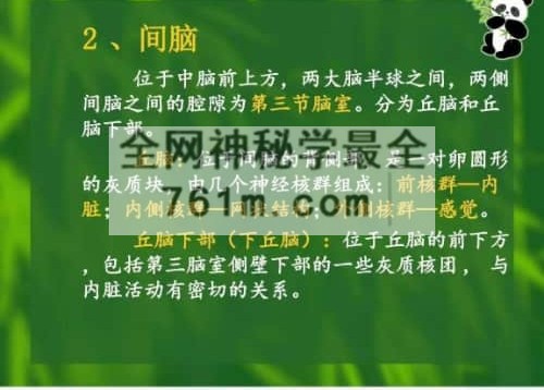 K2362哲龙金三角按摩手法视频+课件
