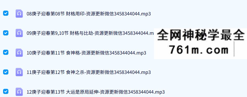 素水盲派命理第4期（庚子迎春格局特训班录音17节+课件）