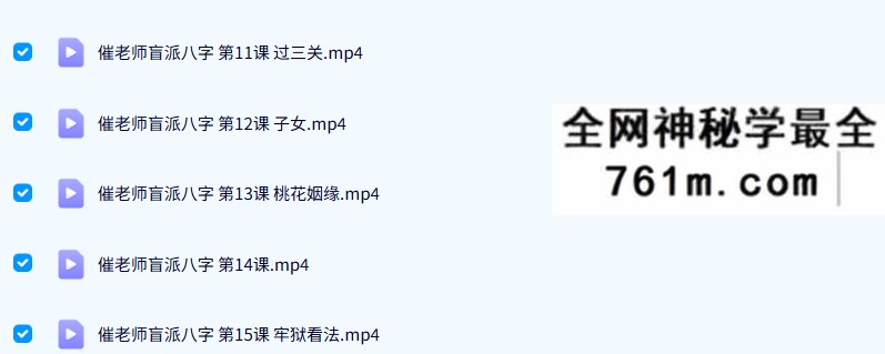 天威盲派 崔文举 2021年盲派八字网络视频五期第二季