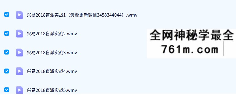 2018年 兴易盲派八字基础+实战29集