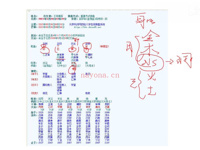 知相知命胖嘟嘟零基础八字课150集视频 八字教程