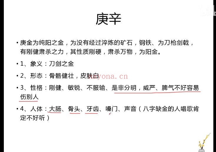 知相知命胖嘟嘟零基础八字课150集视频 八字教程