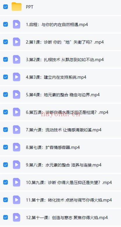 被遗忘的顶级自愈力四元素身心平衡术视频+课件