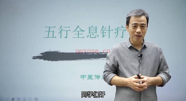 杨磊杨氏全息针26集视频 中医针灸