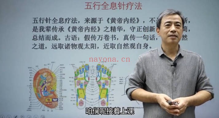 杨磊杨氏全息针26集视频 中医针灸