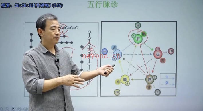 杨磊杨氏全息针26集视频 中医针灸