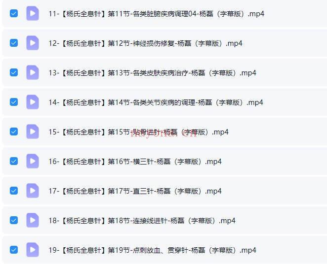 杨磊杨氏全息针26集视频 中医针灸