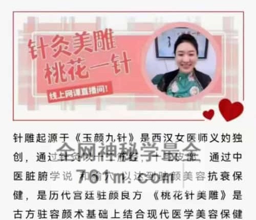 K2368孙星云桃花一针针灸美雕-线上网课 视频3集课程