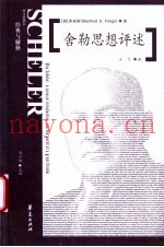 舍勒思想评述