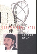 中国智慧的精神  从天人之际到道术之间