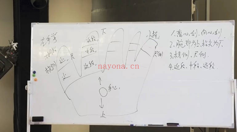 张仲行黄帝掌鉴线下课3集视频 手相教程