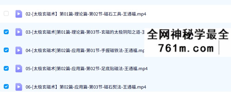 王通福《太极玄磁术》45集