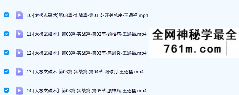 王通福《太极玄磁术》45集