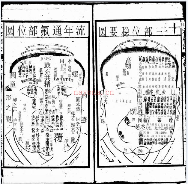 增释麻衣相法全编同治本PDF 面相秘本