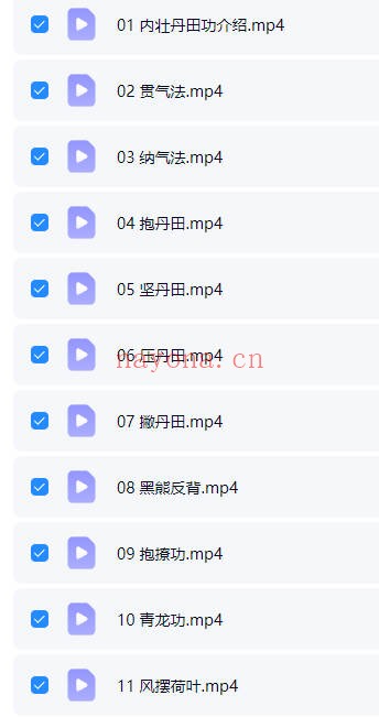 万千古拳法之内壮丹田功11集视频 道家功法