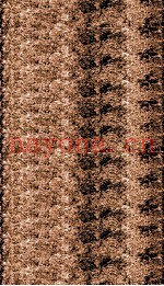 官常典  卷1-6