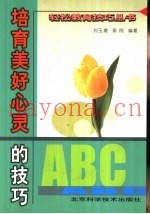 培育美好心灵的技巧