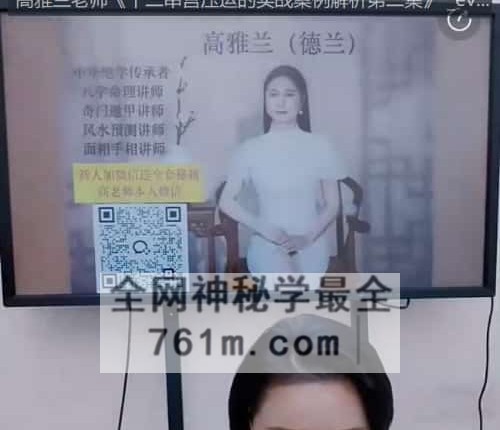A2483高雅兰老师 十二串宫压运的实战案例解析第一二集