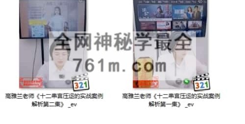 A2483高雅兰老师 十二串宫压运的实战案例解析第一二集