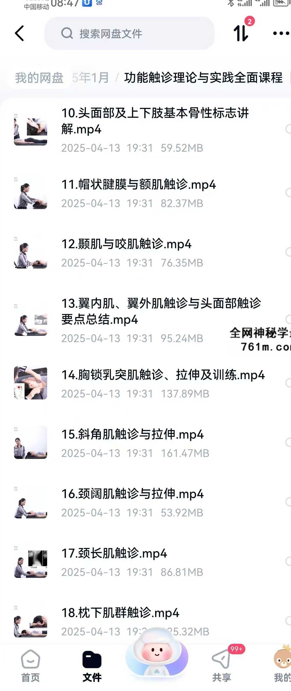 【运动康复好课】功能触诊理论与实践全面课程 全52讲视频课